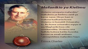 Men uni onamning mushukiga yopishtirdim