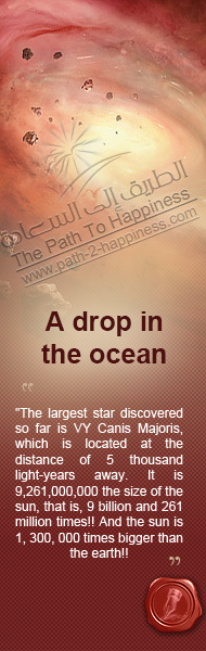 A drop in the ocean