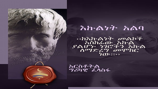 እኩልነት አልባ