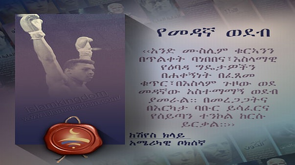 የመዳኛ ወደብ