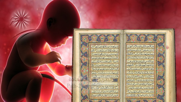 الإعجاز في القرآن والسنة
