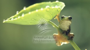 ማስረጃዎቹ ምንድናቸው?!