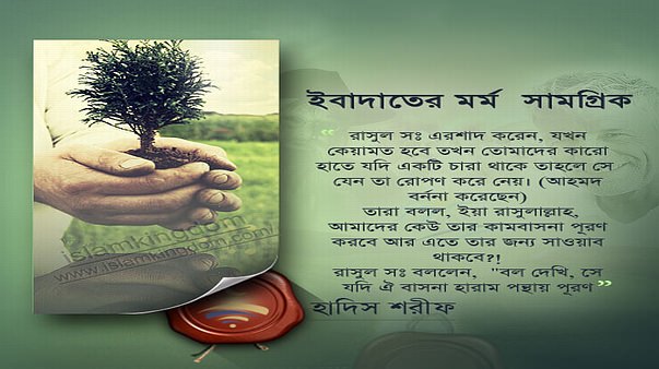 ইবাদাতের মর্ম  সামগ্রিক