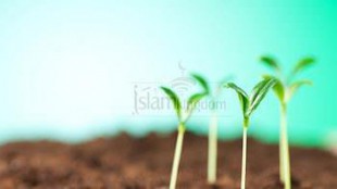 আসমানী আলো (মানুষের জন্য নবুয়্যতের প্রয়োজনীয়তা)