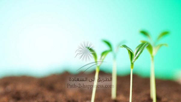 La luz celestial (La necesidad del ser humano por el Mensaje)