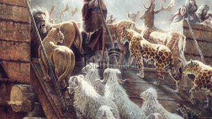 रसूलों का इतिहास: हजरत नूह