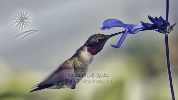 Hai mai riflettuto sulla creazione dell’universo?