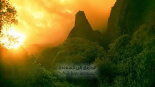 LA NOSTRA VOGLIA DI FEDE