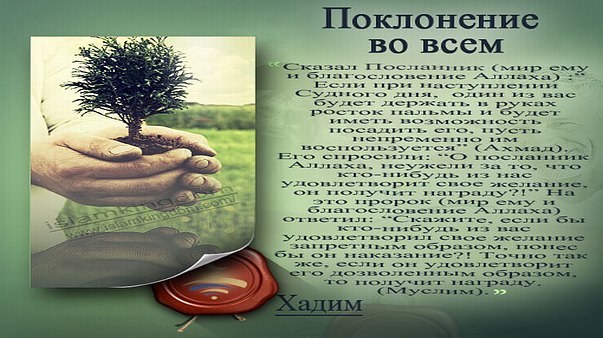 Поклонение во всем