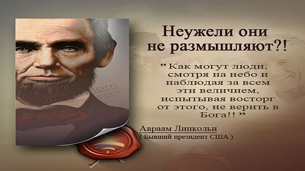 Неужели они не размышляют?!