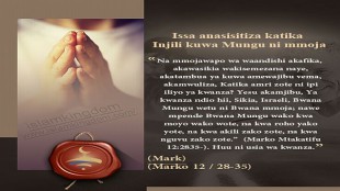 尔萨在《福音书》中强调说真主是独一的